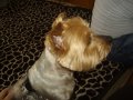 IMGP3531.JPG